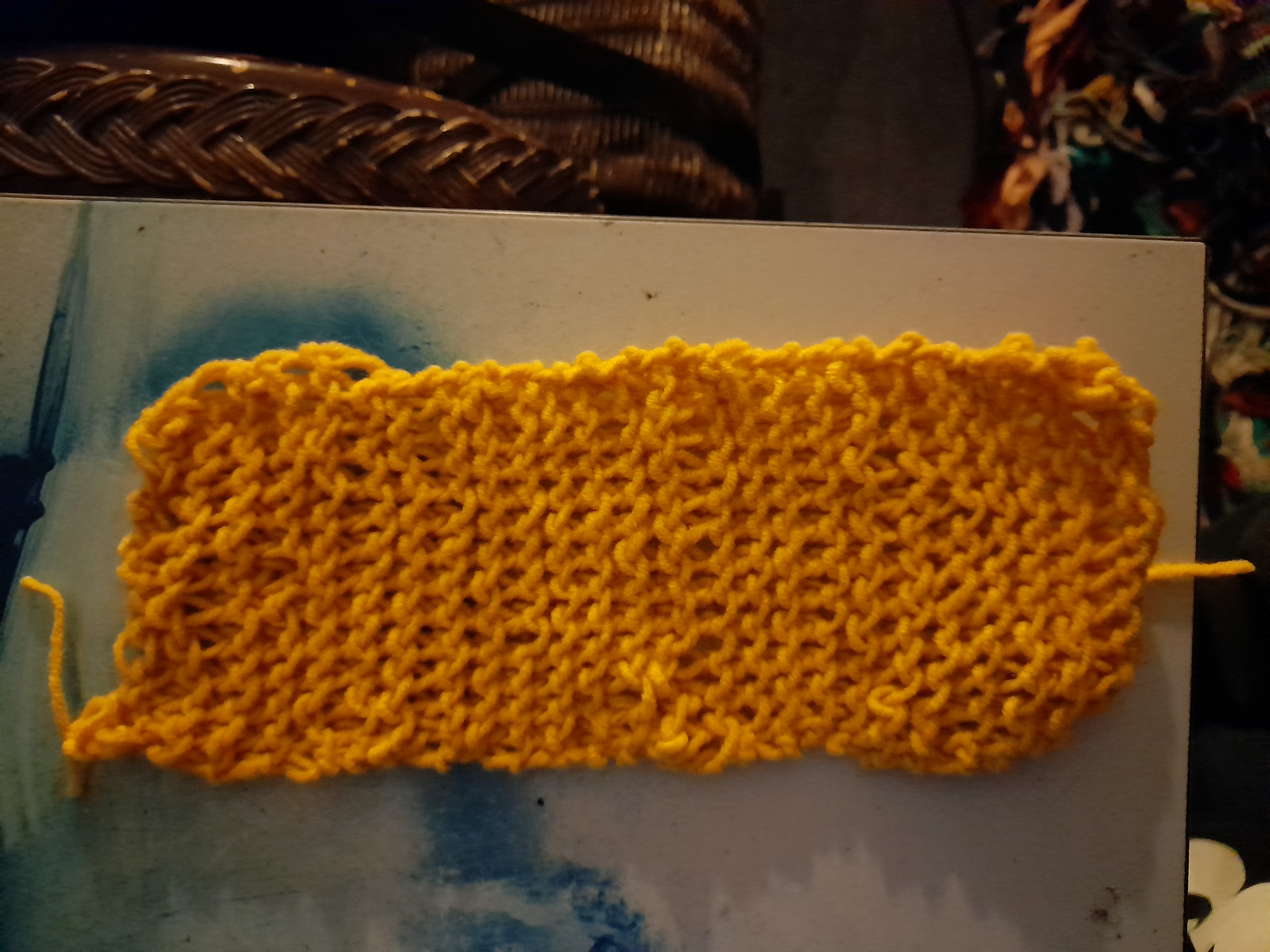 Image 20211116_065328