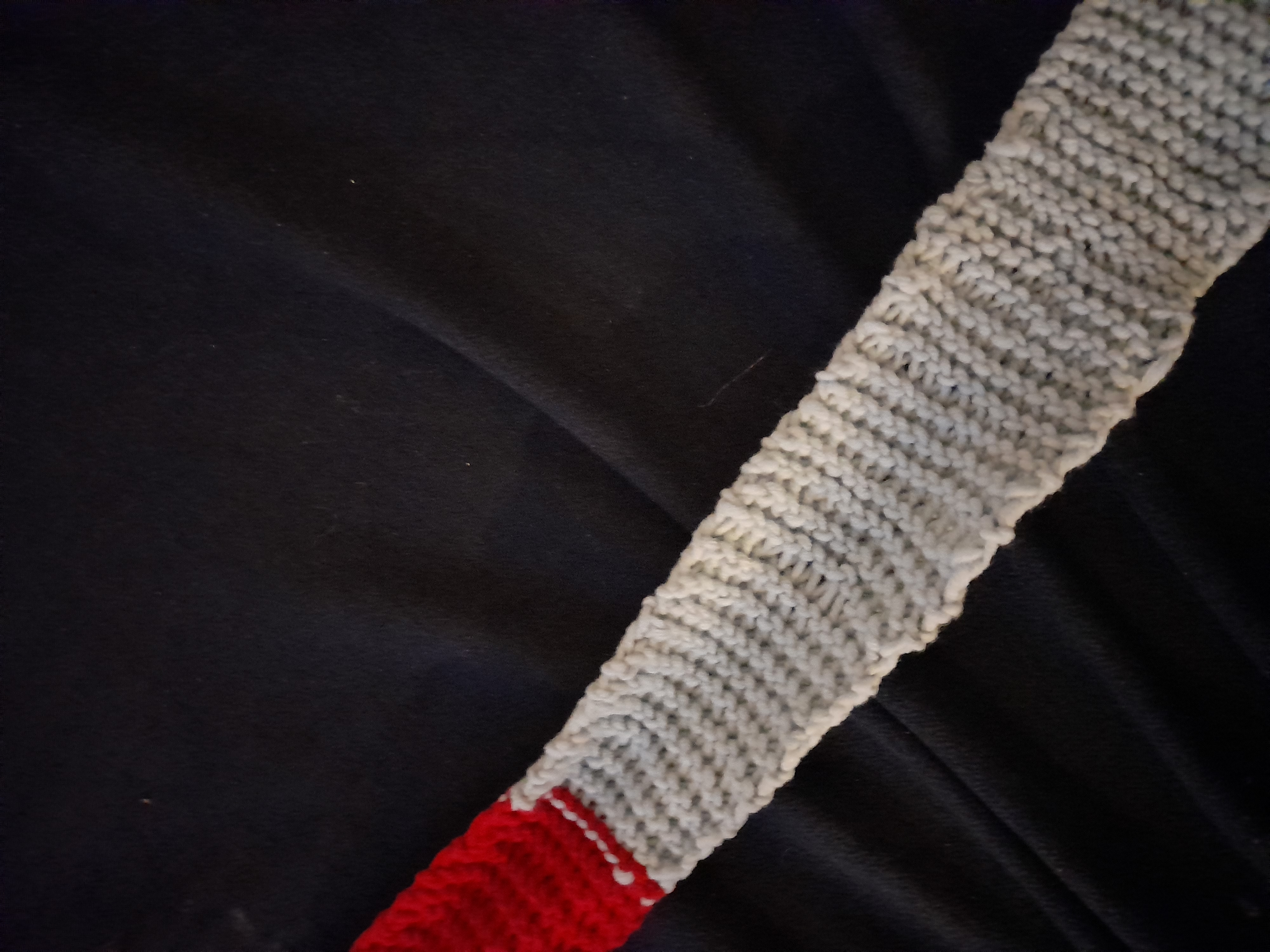 Image 20211128_164729