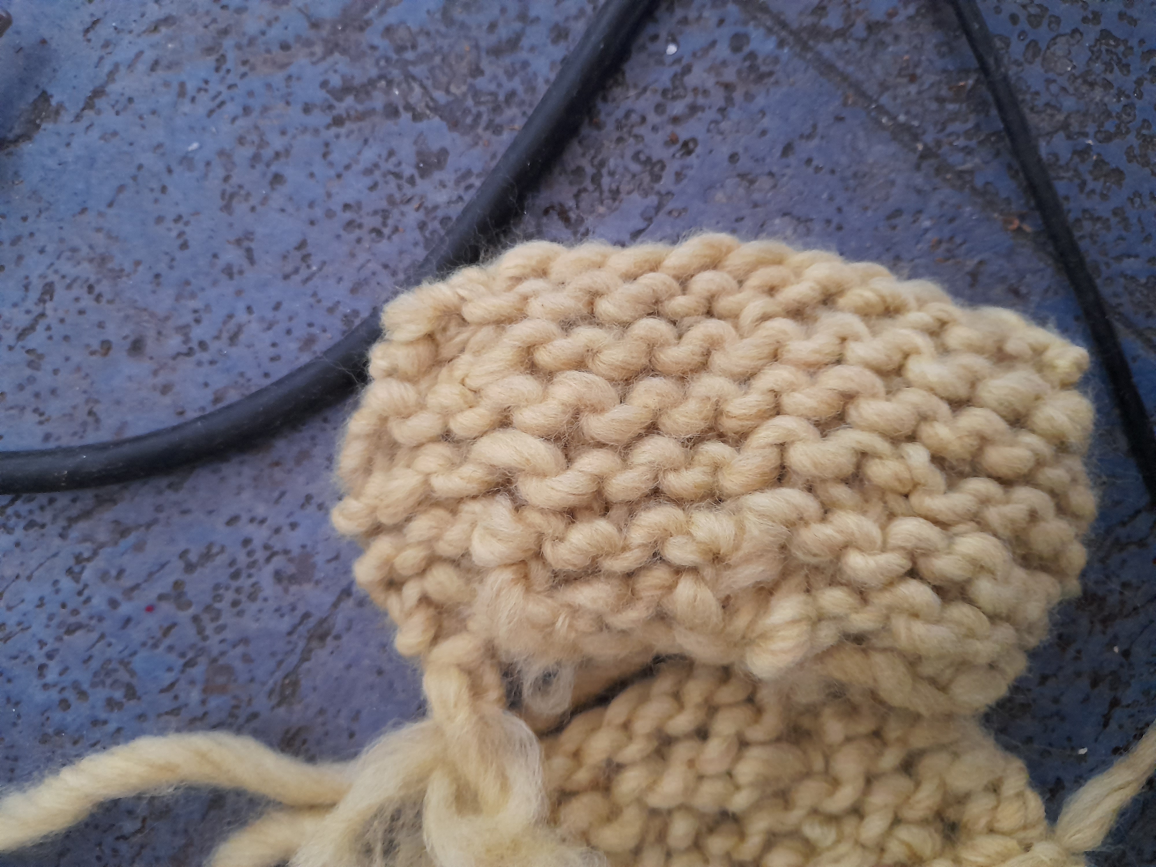 Image 20211204_113656