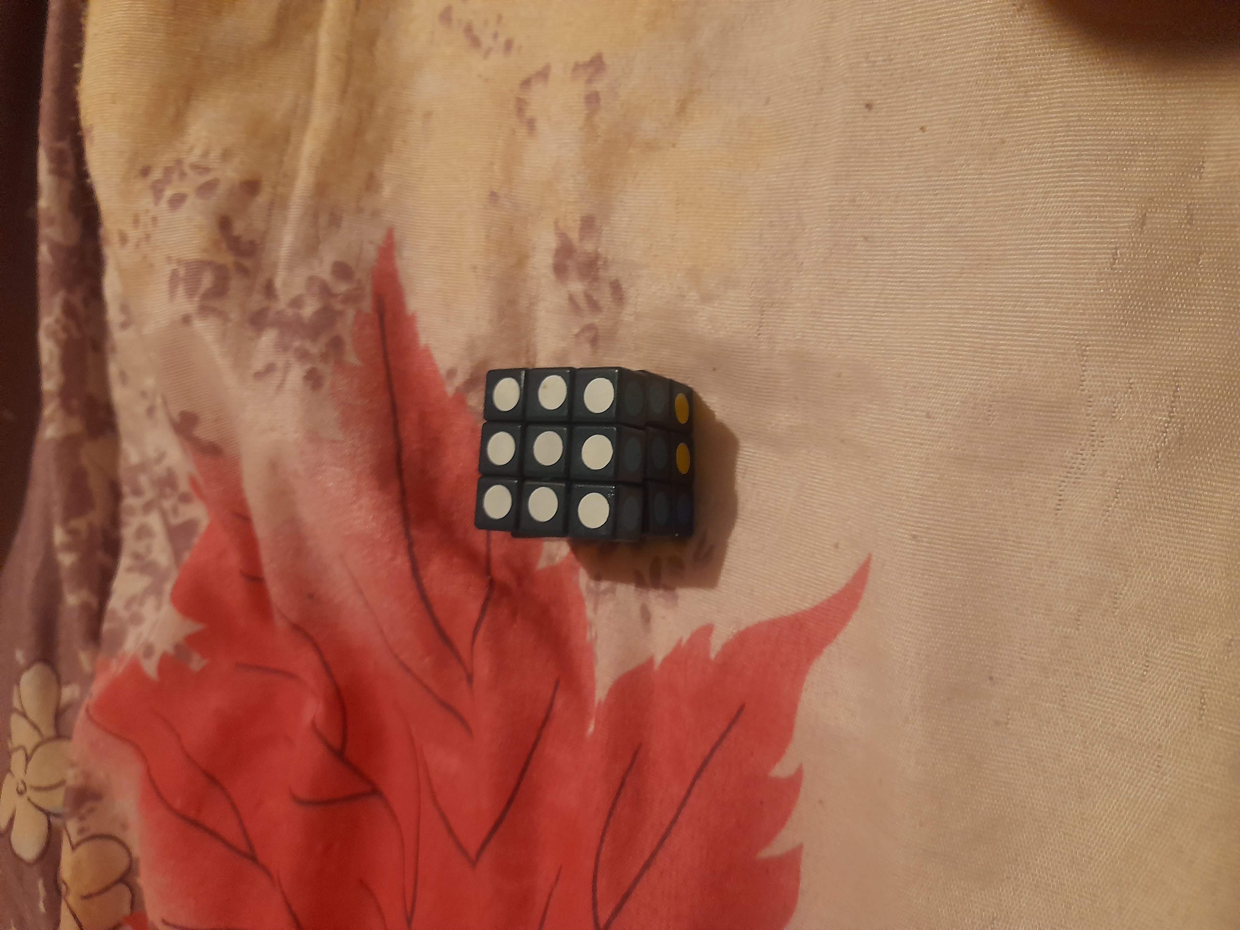 Image 20231203_184733